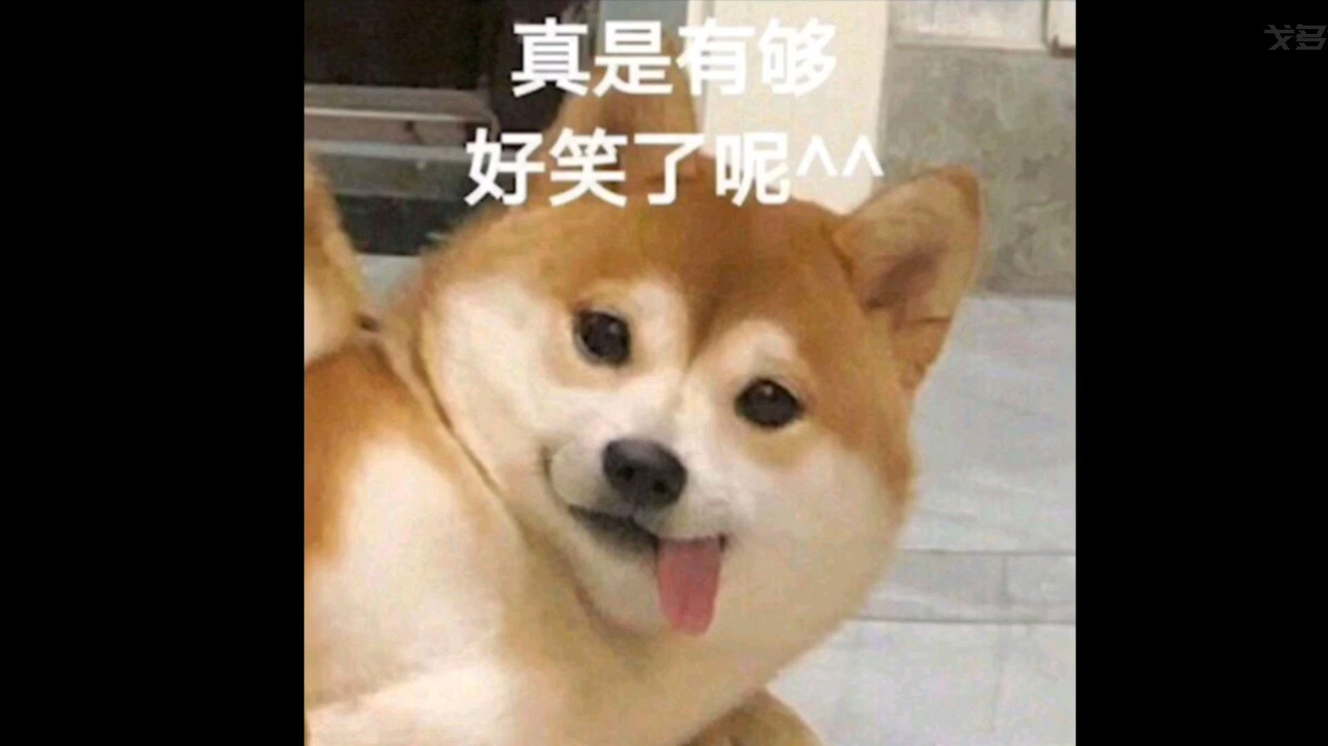 520到了,舔狗进来挨打,能救一个是一个